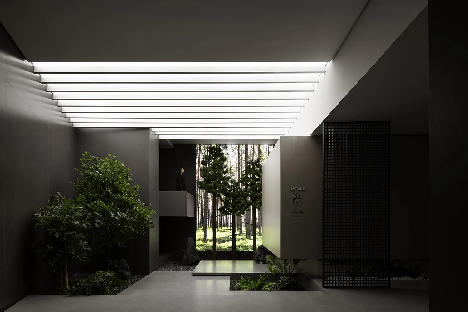 Modern interior design featuring concrete and plant elements