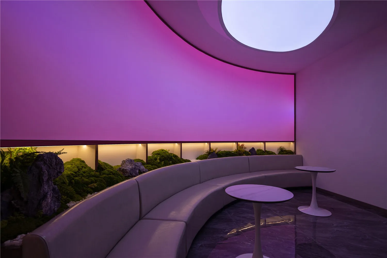 Contemporary interior featuring purple ambient lighting, a curved sofa, and indoor plants