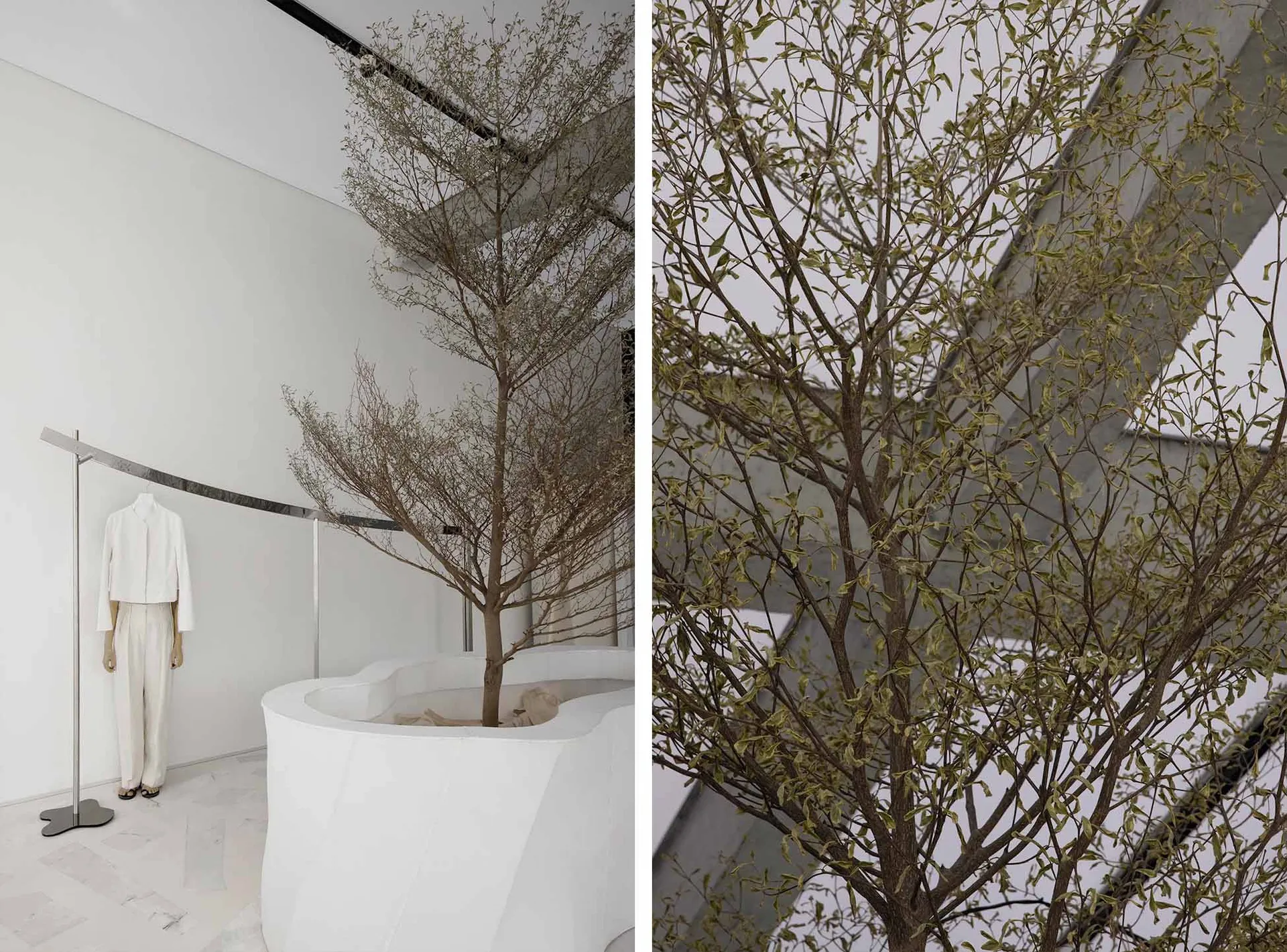A minimalist retail space with concrete walls and white painted surfaces, featuring a tree in a white planter.
