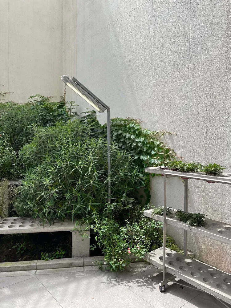 Concrete planters and metal shelves in an industrial-style outdoor space with lush green plants.