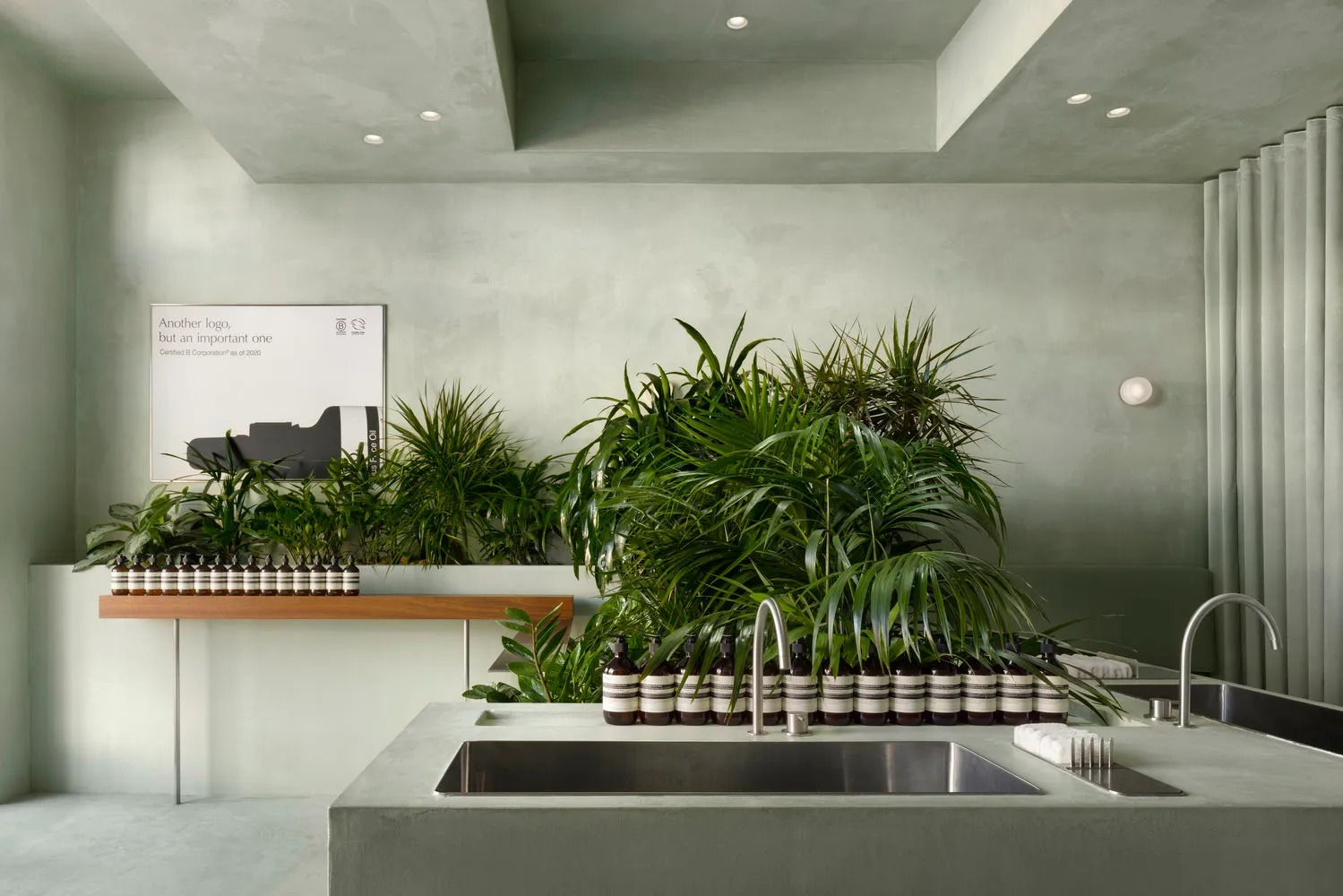 A minimalist interior space with concrete walls, a sink, and an arrangement of various plants on the countertop.
