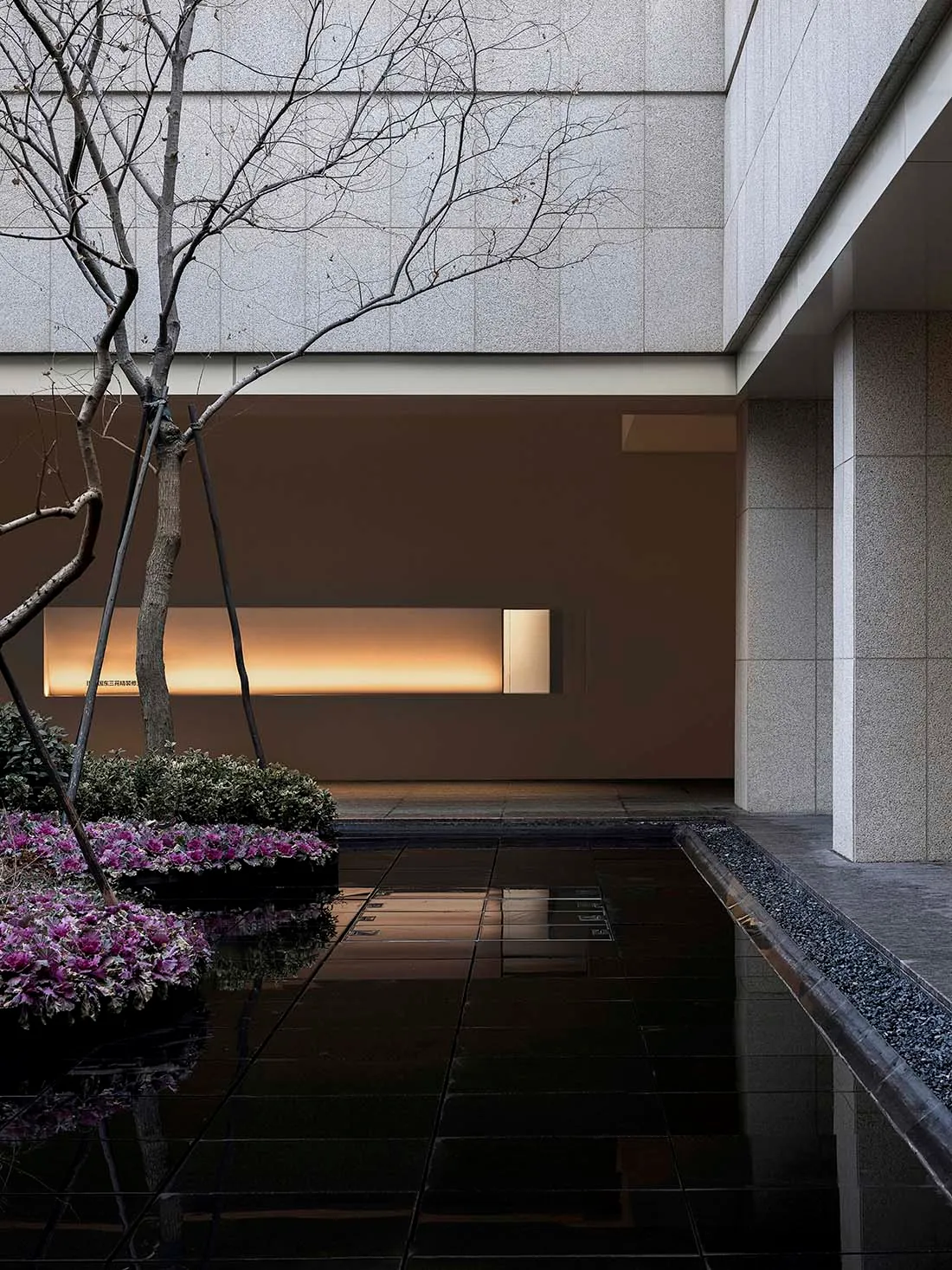 Modern minimalist interior with concrete floor and wall, featuring a tree and illuminated wall light.