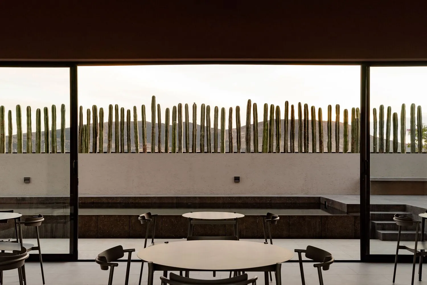 Minimalist interior design featuring concrete elements and cactus wall.
