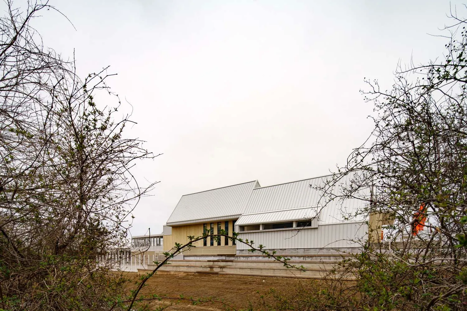 Modern building with a metal roof surrounded by trees.