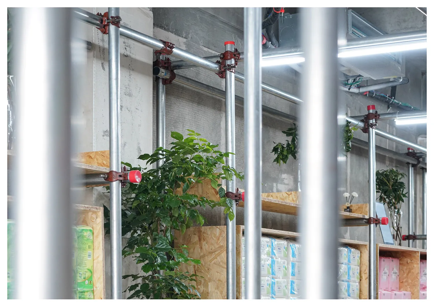 Metal scaffolding and greenery in an office space