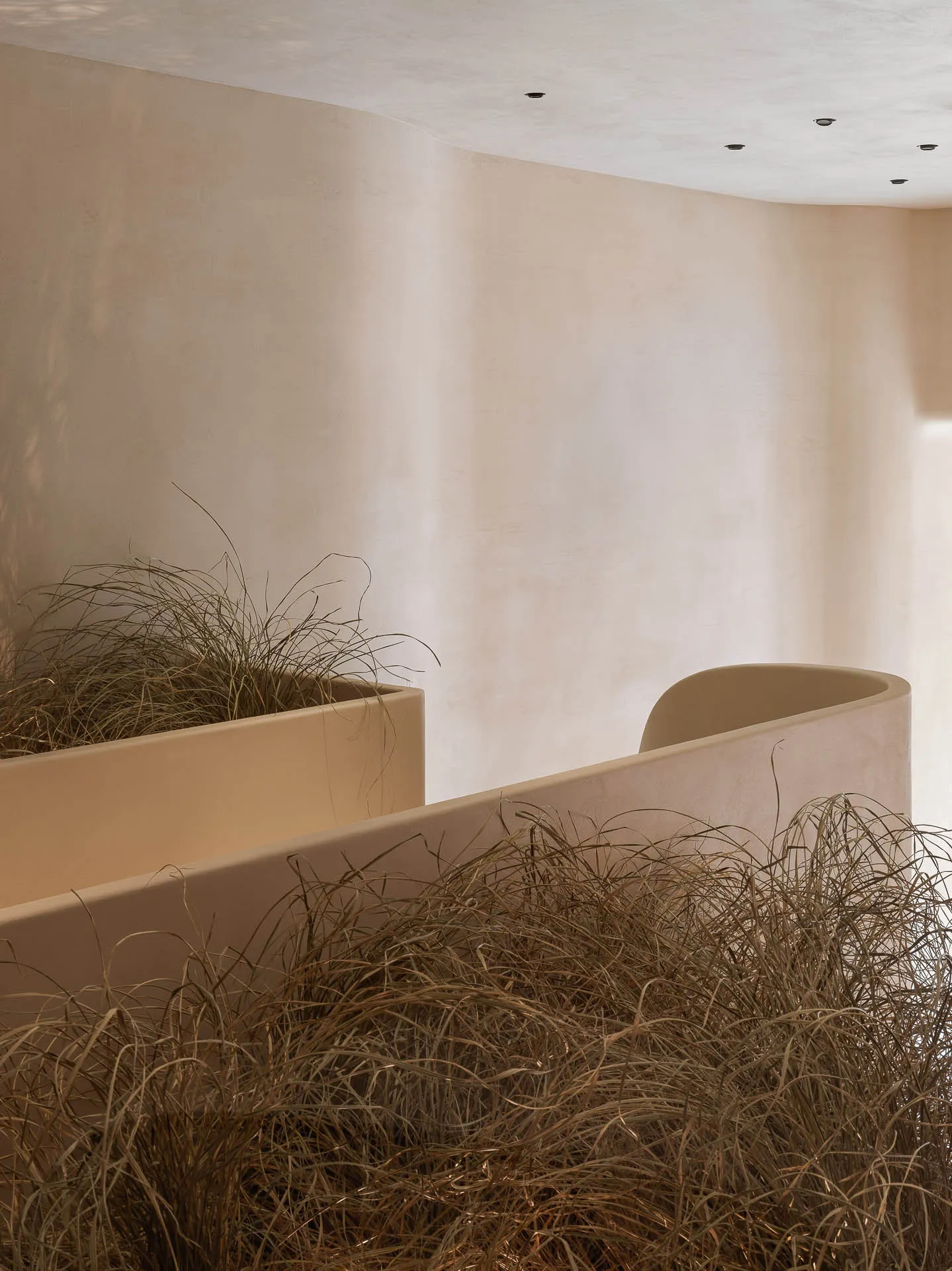 Modern minimalist interior featuring concrete planters filled with dried grass.