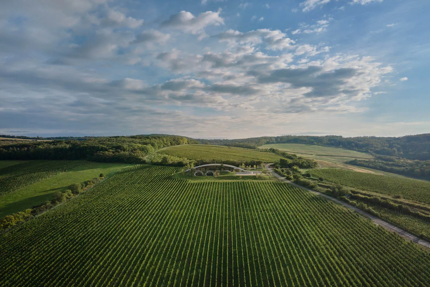 Aerial view of a village with rows of buildings and green fields.