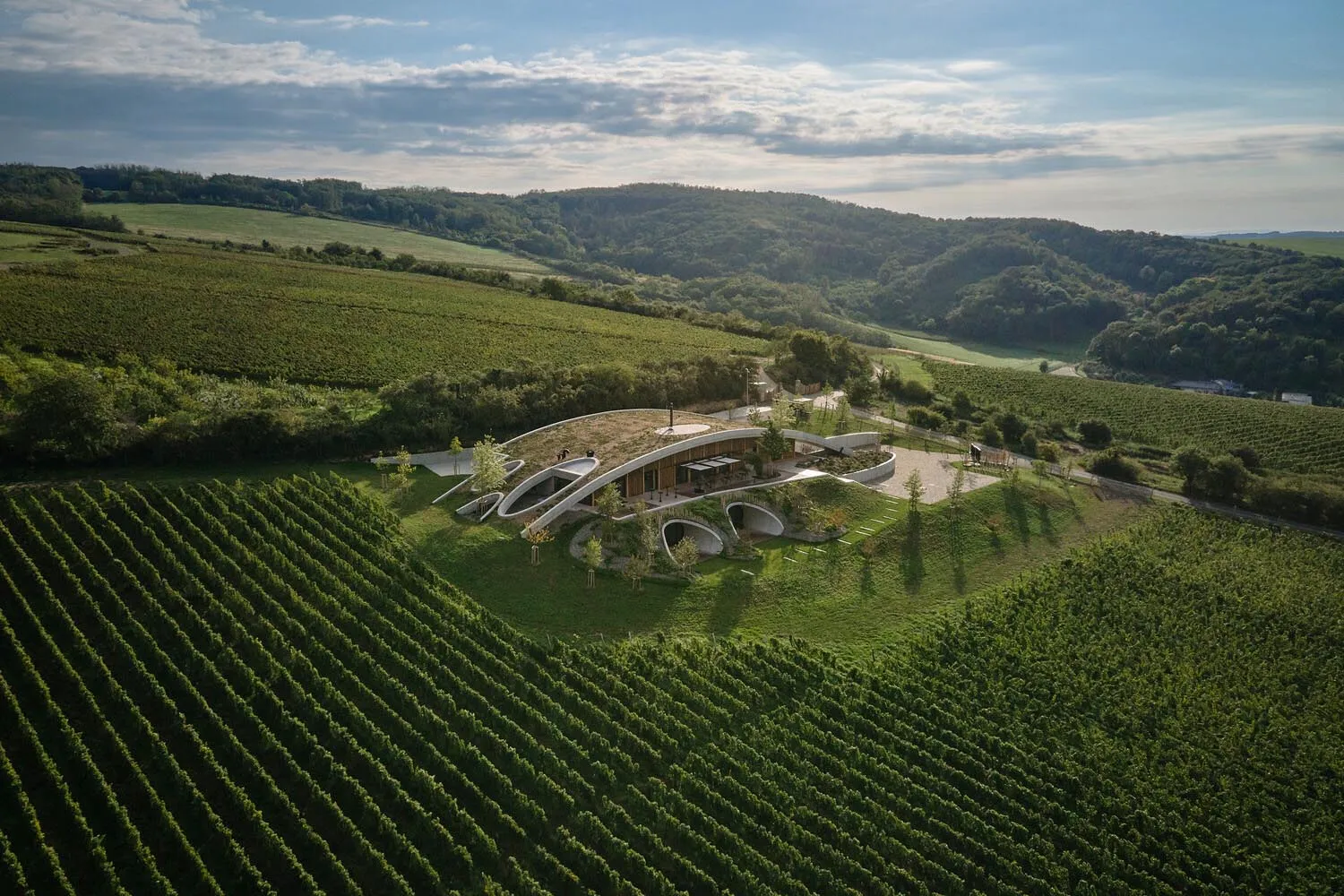 A modern building with a green roof situated amidst a vineyard.