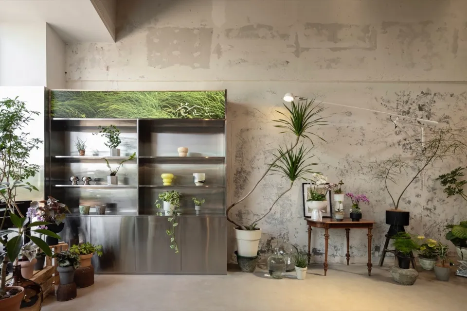 現代植物店,展示金屬花盆與混凝土牆面。