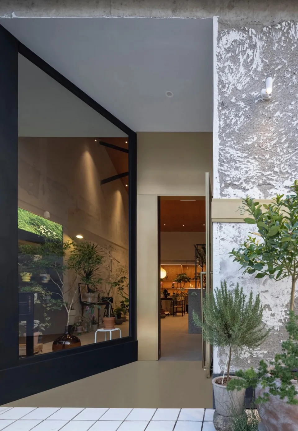 A modern retail storefront with a concrete facade and large glass windows displaying indoor plants and furniture.