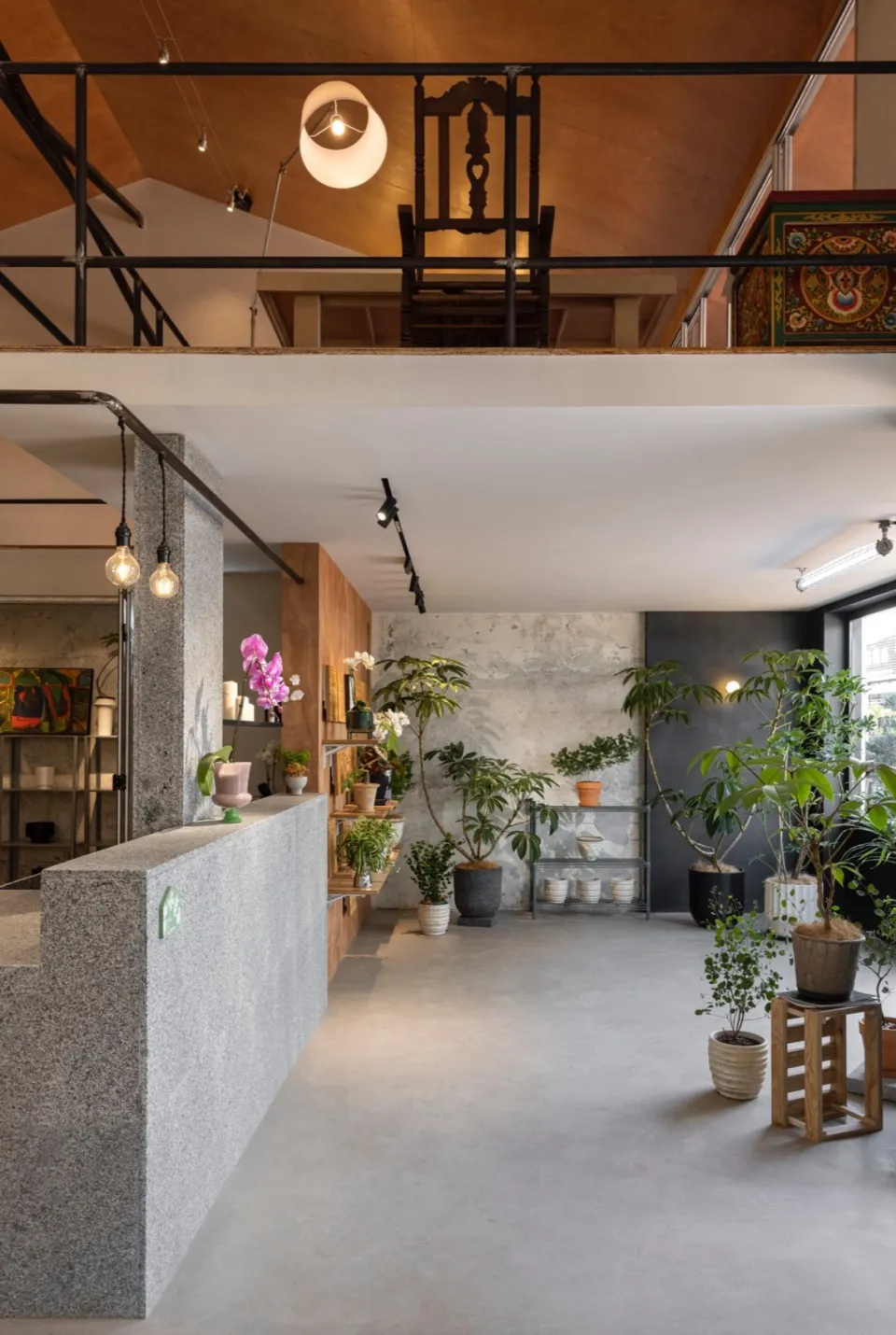 Modern shop interior with concrete walls and floor, featuring green plants and industrial lighting.
