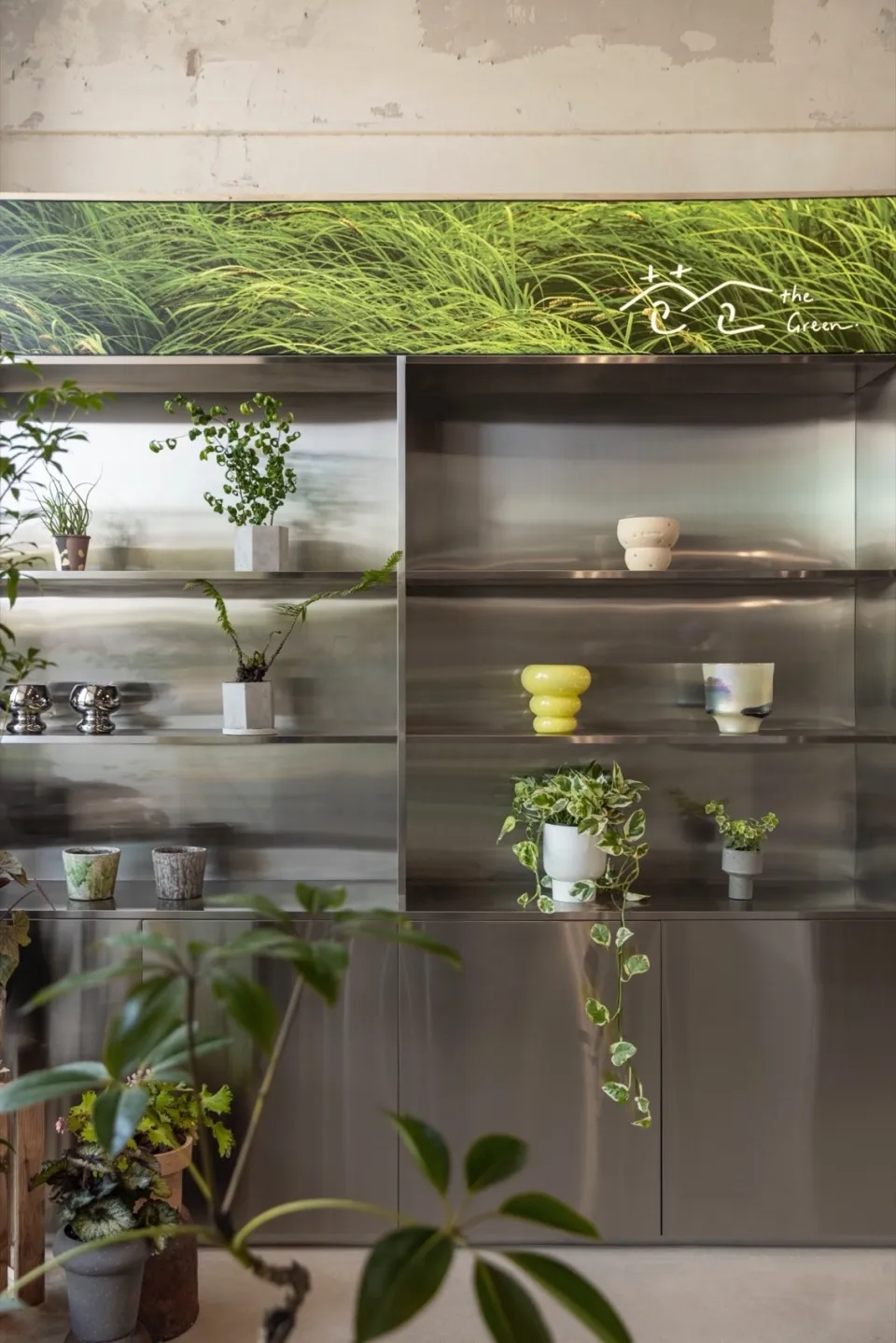 A modern indoor plant display featuring metal cabinets and green potted plants.