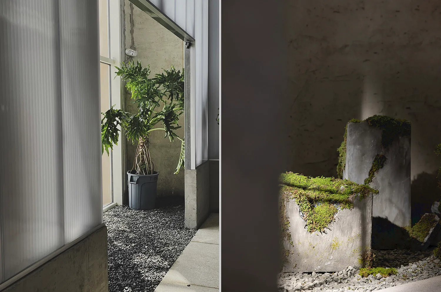 A minimalist lobby featuring a concrete interior design with a potted plant in a black container and a concrete structure wit