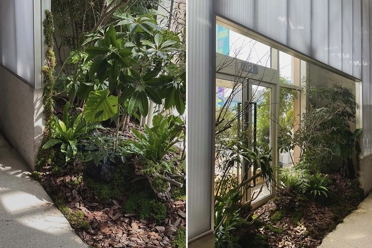 室內綠植與植物靠近建築物。