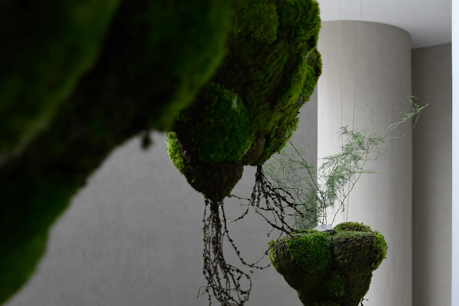 A modern greenhouse interior with moss-covered plants.