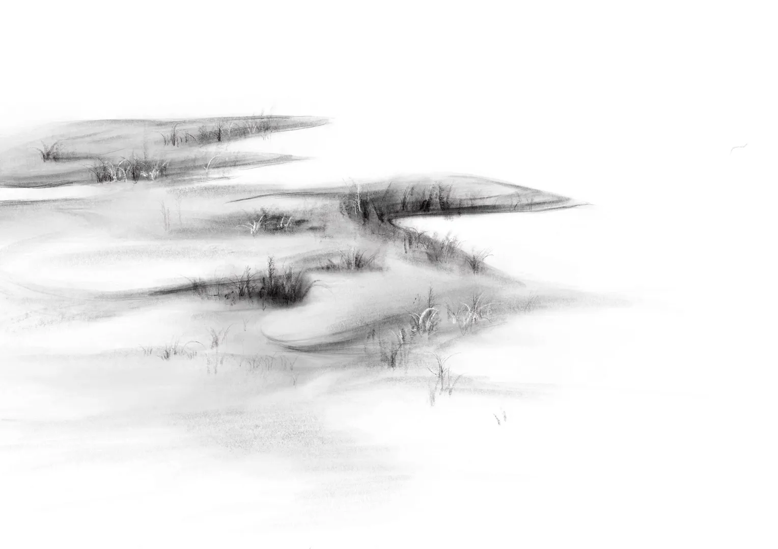 Monochrome sketch of a desert landscape with sand dunes, grass, and water.