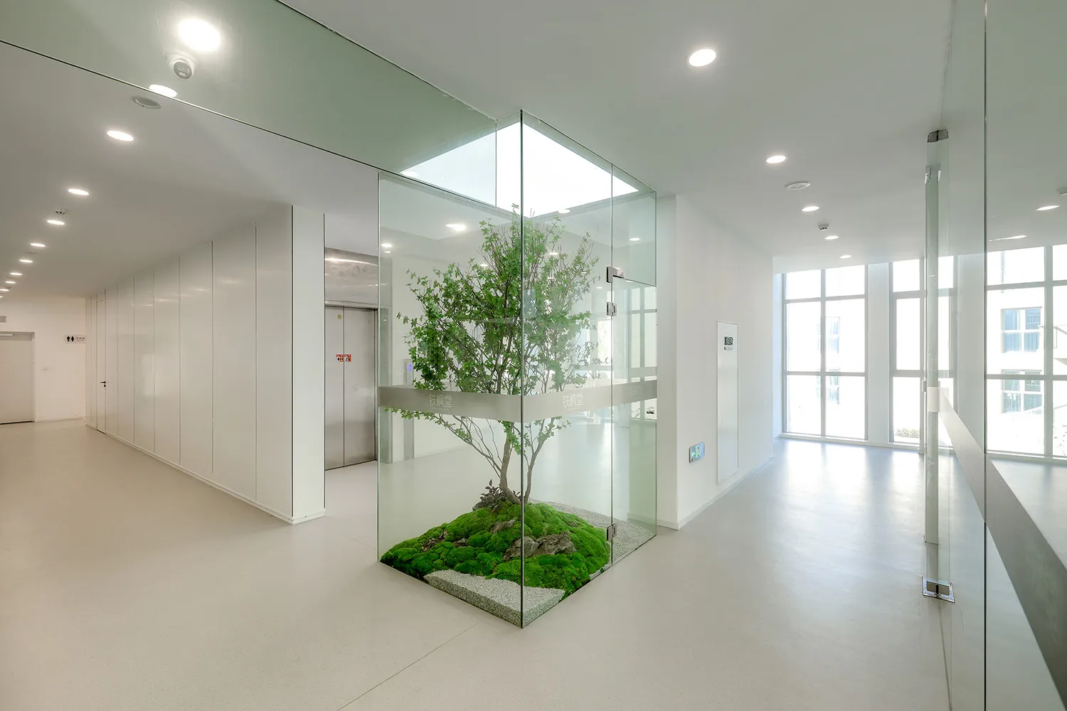 現代工業風企業入口處，展示一棵玻璃圍繞的綠色樹木。
