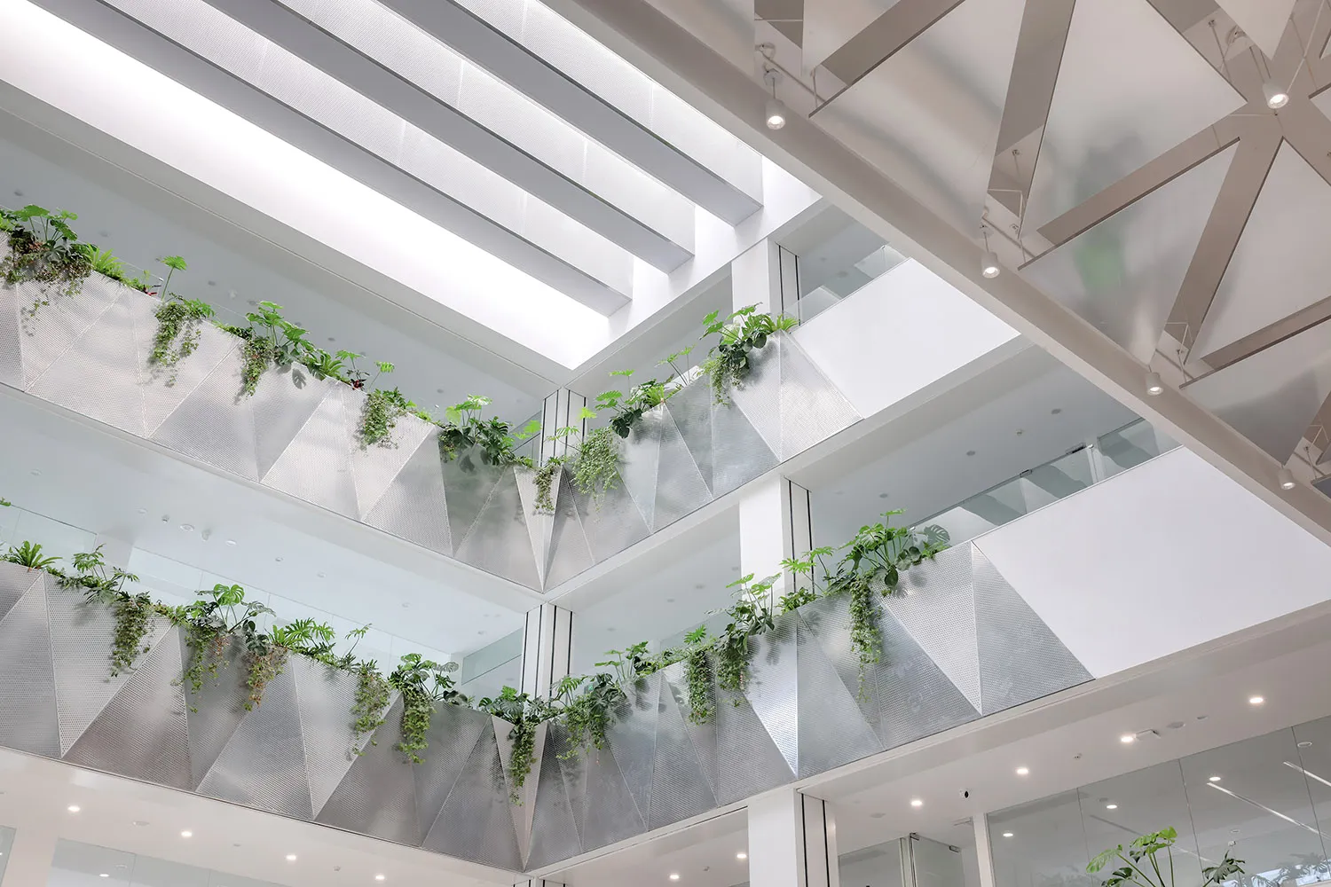A modern office interior featuring green plants on a metallic composite wall structure.