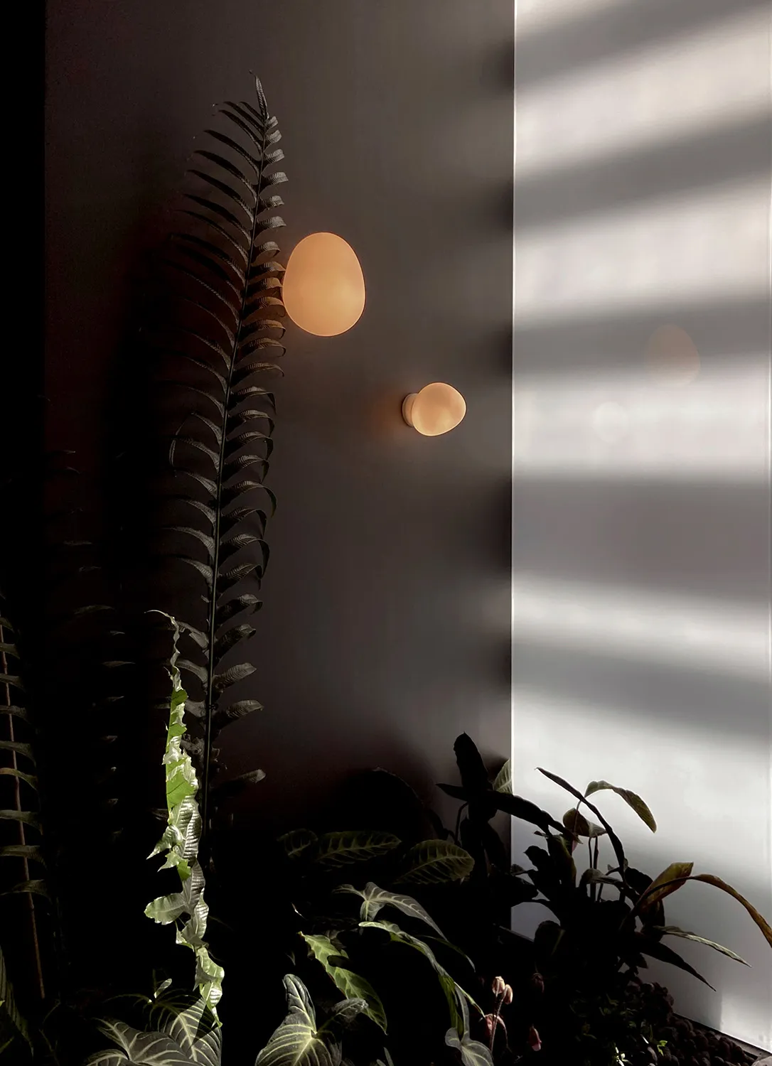 Modern indoor wall lights and a diverse plant setup.
