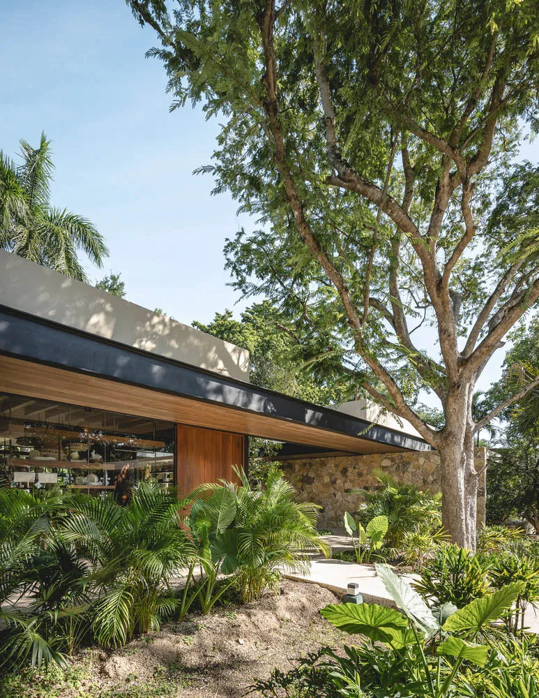 A modern house with wooden accents and a stone wall surrounded by lush greenery and tropical plants.
