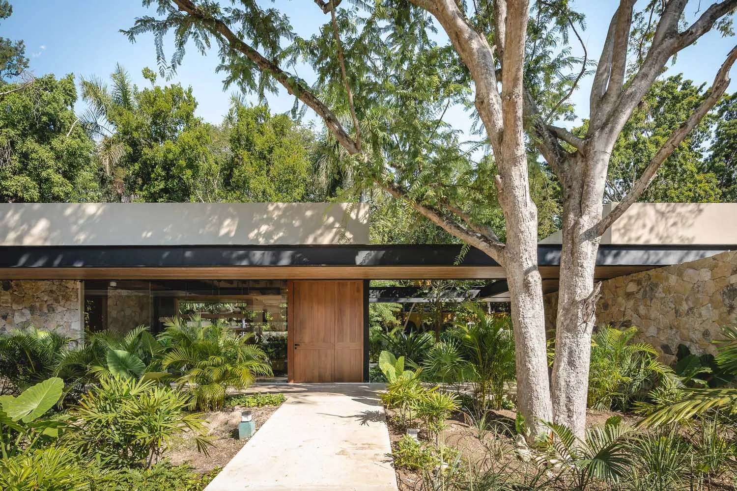 A modern architectural design featuring a residential exterior with succulent greenery around the entrance.