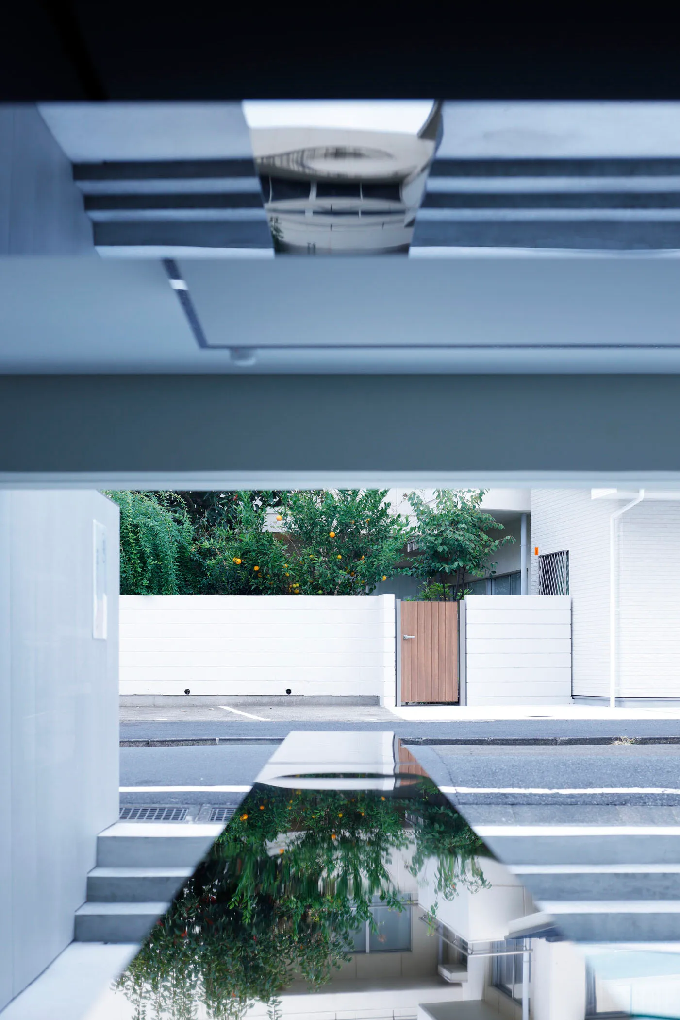 A modern exterior concrete fence with trees and a wooden gate reflected in a water feature.