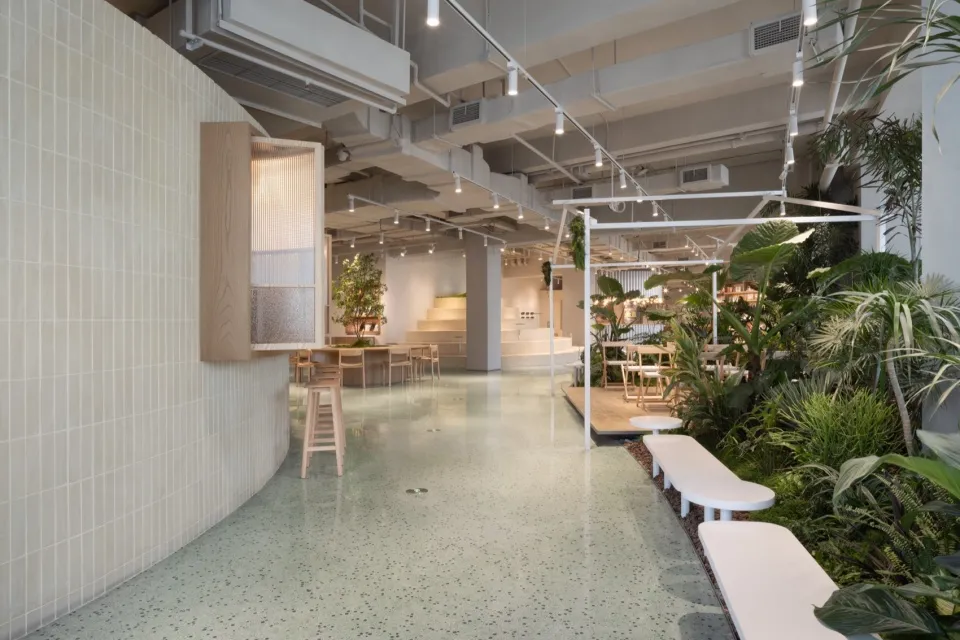 Modern interior of a coffee shop featuring plant-based materials, with greenery and natural light
