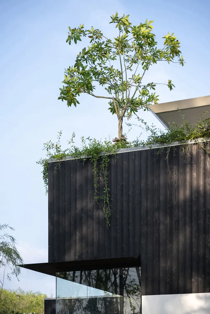 A modern building with black siding and a rooftop garden featuring a tree.
