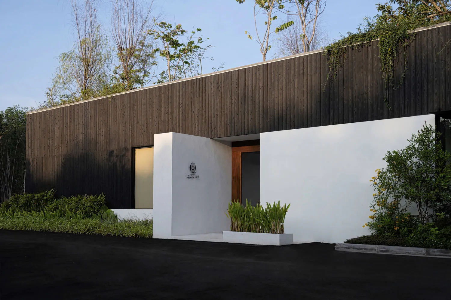 Modern entryway with wooden and concrete materials, surrounded by greenery.