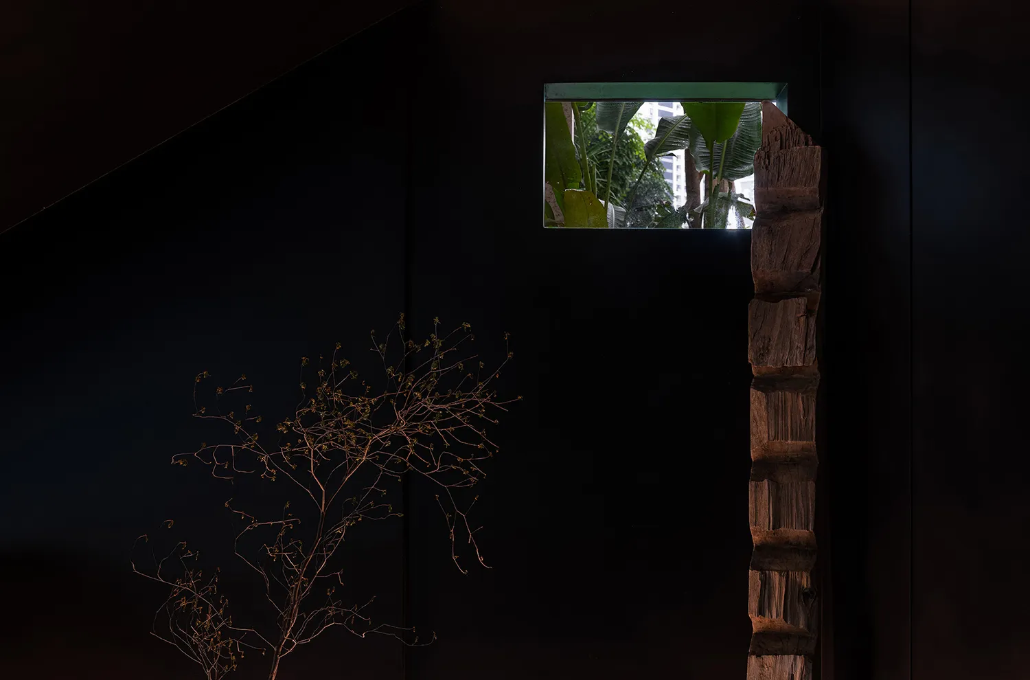 A dark, minimalist interior design with a wooden beam, a green-framed window showing lush greenery, and a small plant.