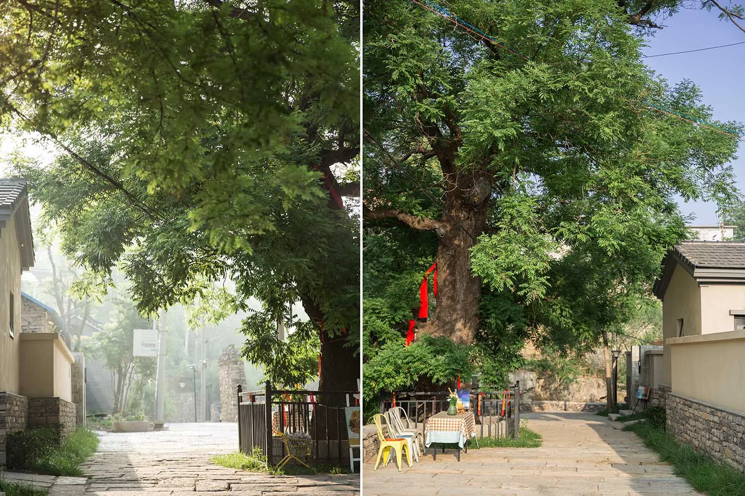 A stone-paved street with lush greenery surrounding it, featuring outdoor seating areas under large trees.