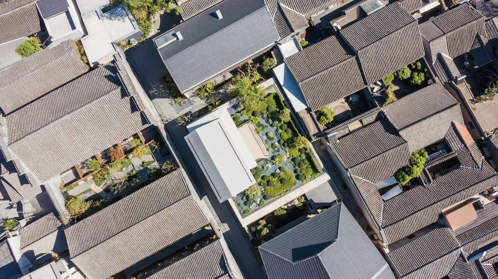 俯瞰城市景觀，突顯陶土建築元素的運用。