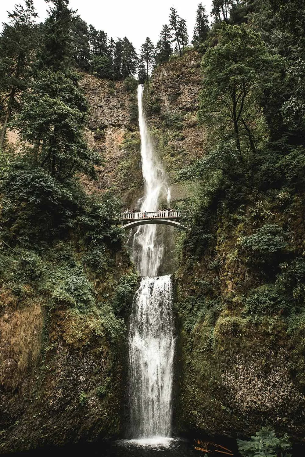 A waterfall cascading down a steep cliff surrounded by lush greenery.