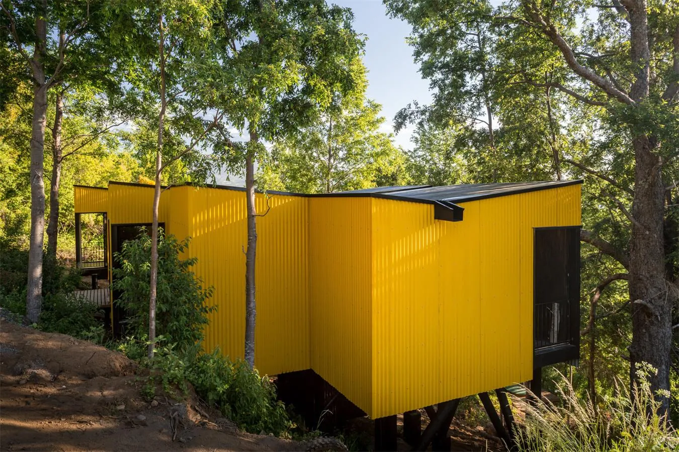 A minimalist yellow cabin with metal siding set in a forested area.
