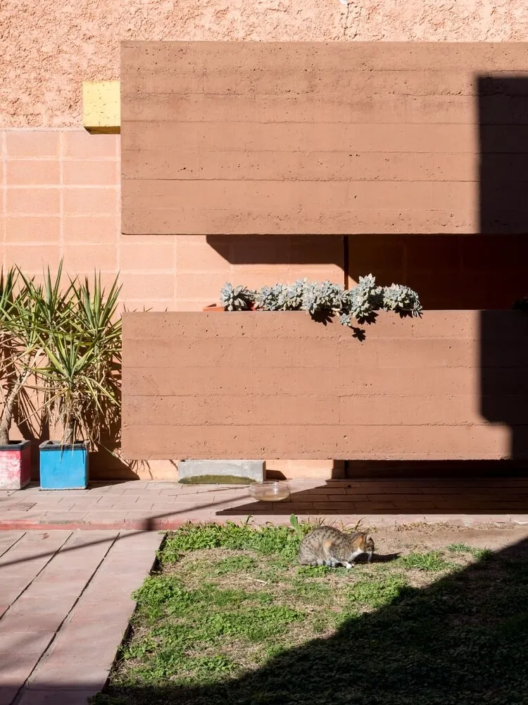 A modern exterior with a concrete wall and plants.