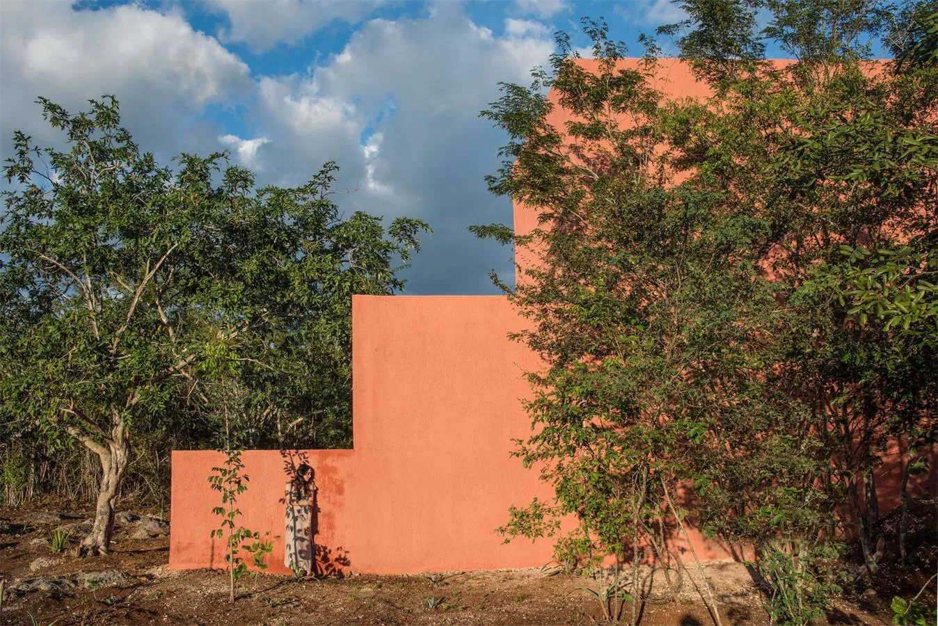 A modern residential exterior featuring textured brick walls and lush green foliage.