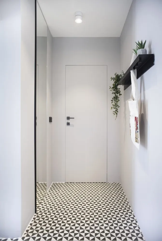 Modern minimalist entrance hall with concrete floor, white walls, and green plant.