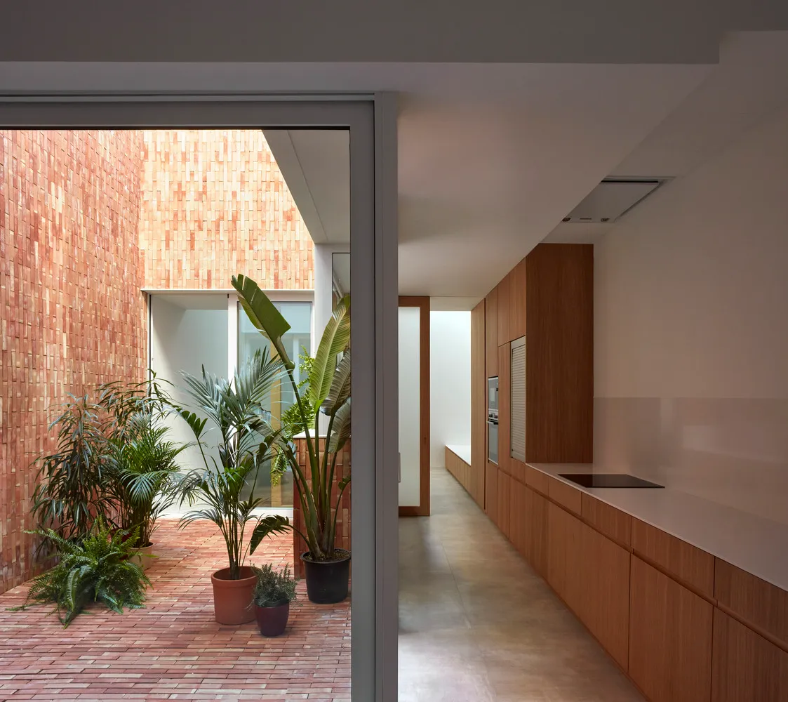 A modern minimalist kitchen with wooden cabinets and a linear layout, featuring potted plants and an open courtyard.