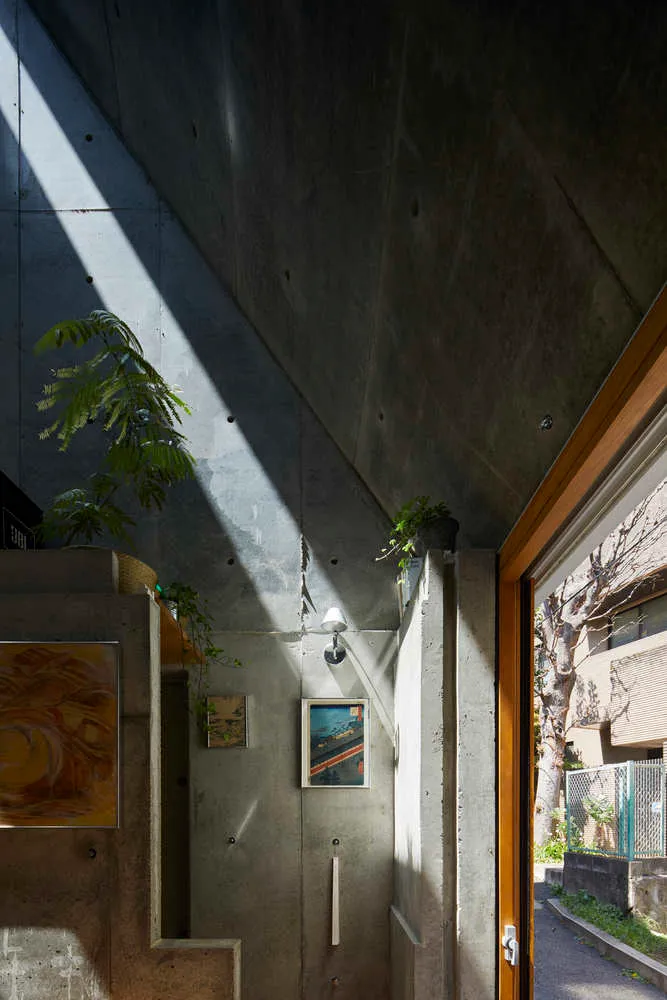 Modern, minimalist concrete interior with plants, art, and natural light.