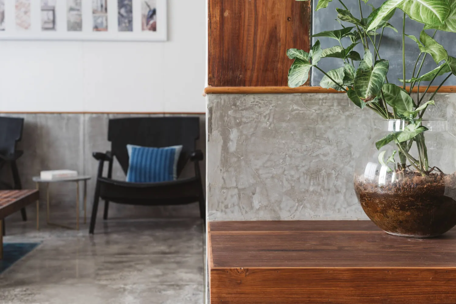 A modern living room with a mix of wooden furniture and concrete walls, featuring a houseplant in a glass vase and a blue cus