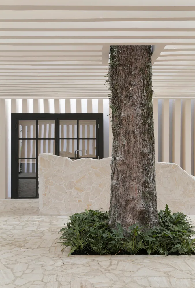 A modern entrance porch featuring a large tree surrounded by plants on a concrete patio with a stone wall and black-framed gl