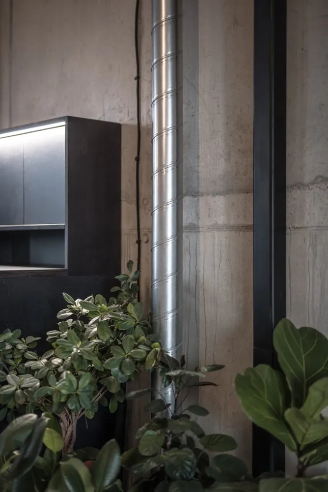 Concrete walls, green plants, and a black cabinet in an industrial-style interior design.