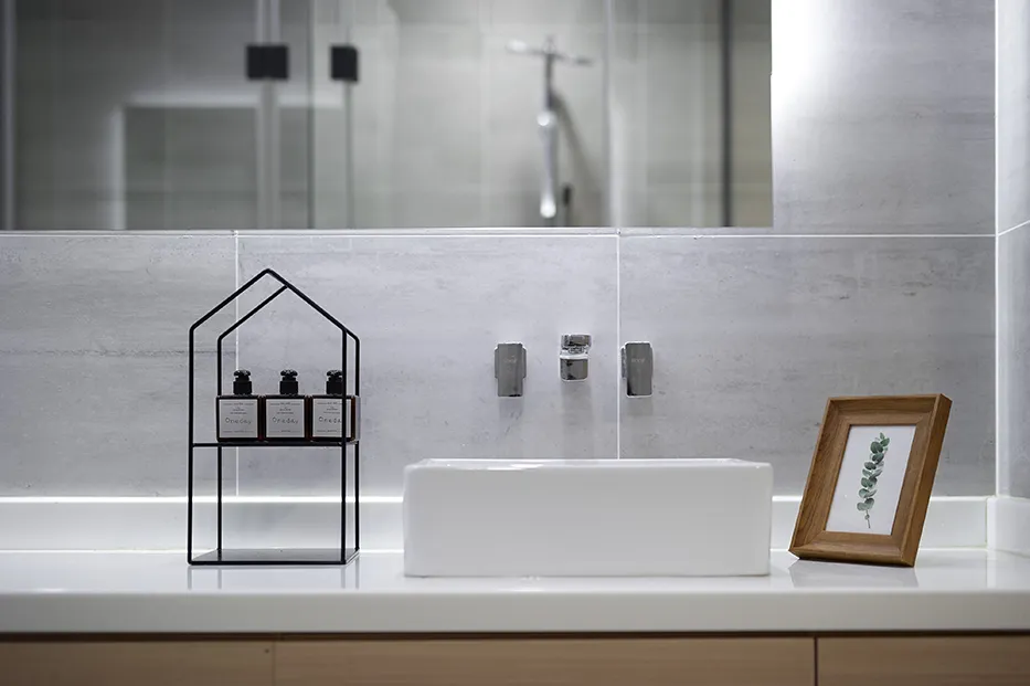 Modern, minimalist bathroom with white sink, concrete tiles, and framed greenery.