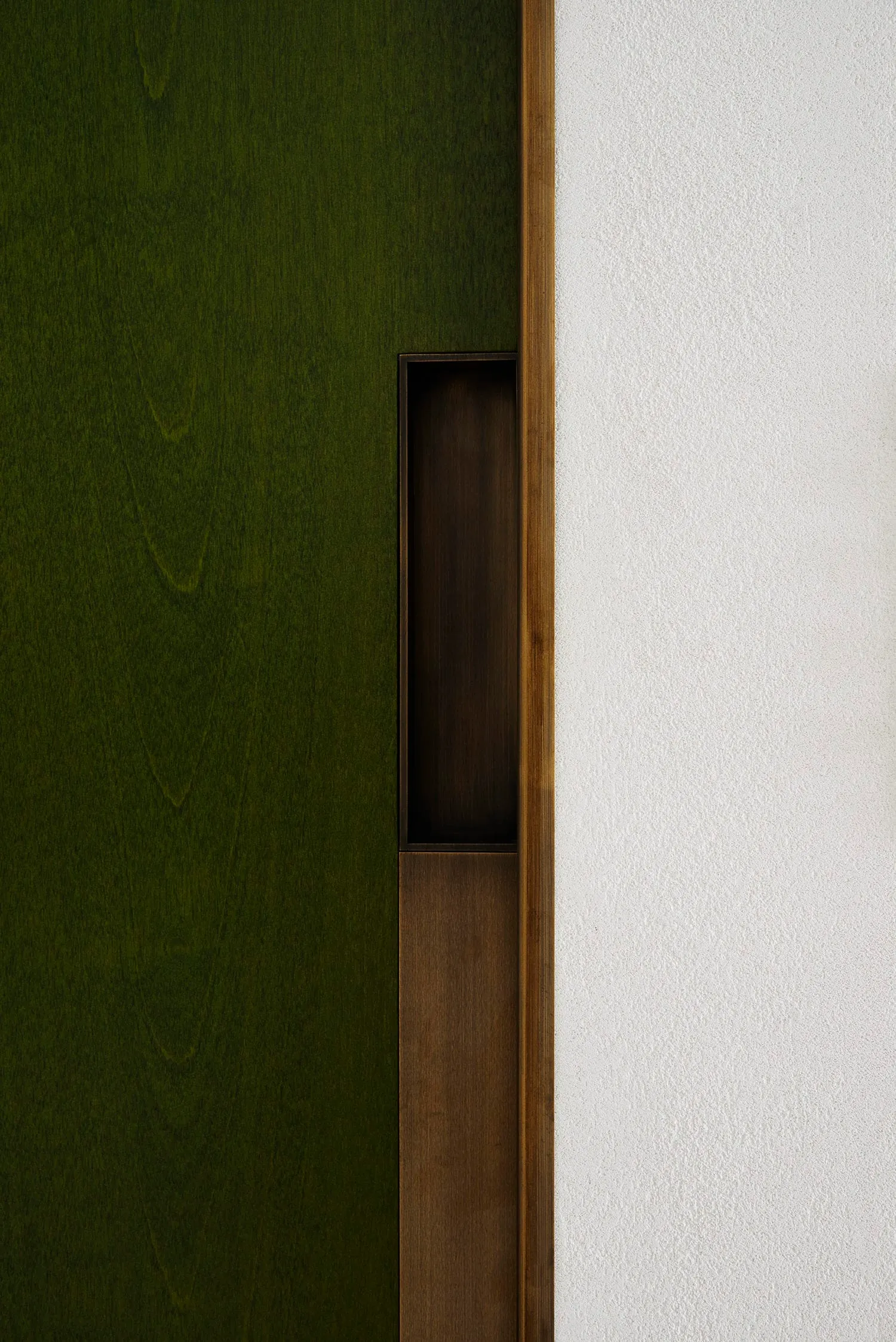 Close-up of a modern metal door handle on a green wooden door.