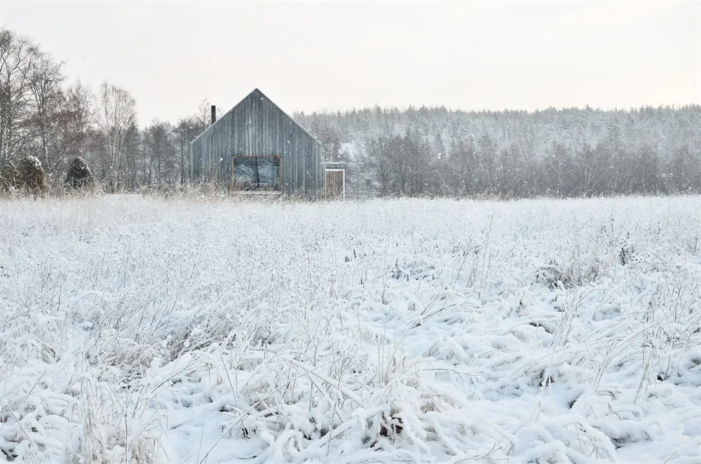 一間被雪覆蓋的鄉村小屋，周圍是雪景與背景中的樹木。