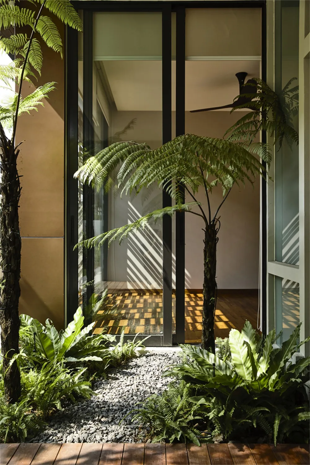 Modern entrance garden featuring glass doors, cactus, and a cactus plant.
