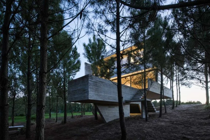 Contemporary house with concrete exterior and large windows amidst a forested area