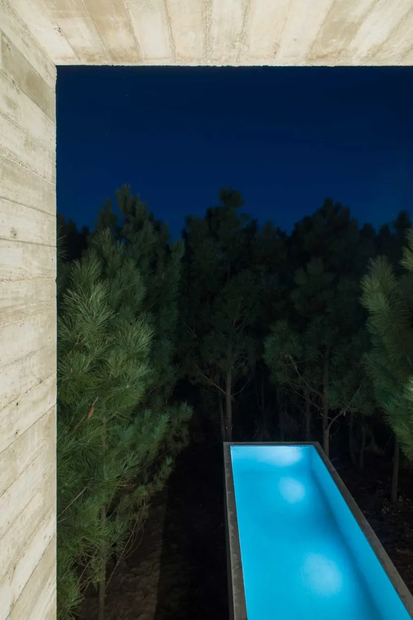 A modern swimming pool with concrete walls and blue water, surrounded by tall trees at night.
