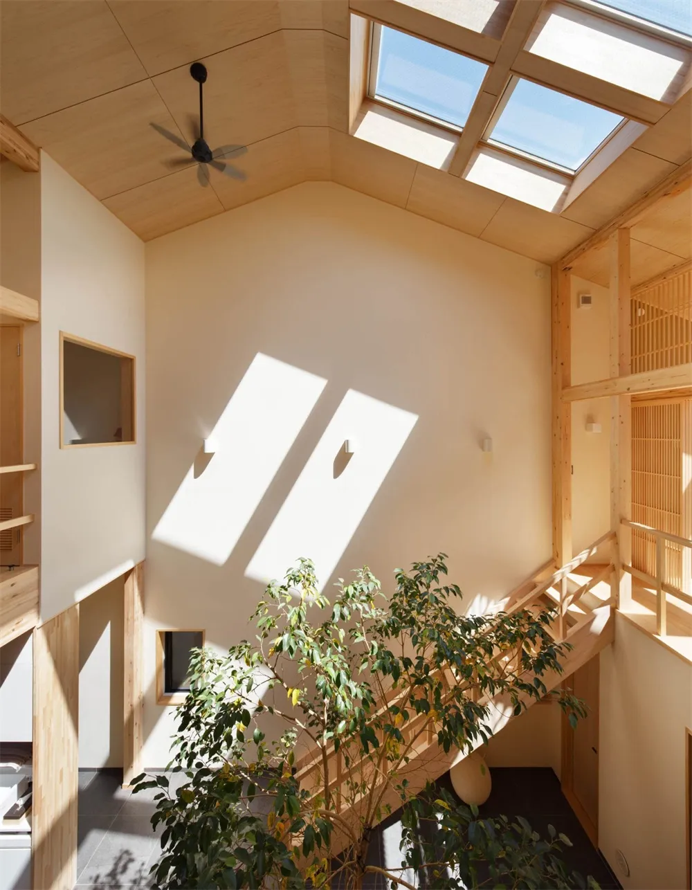 A minimalist interior space with large windows and lush green plants.