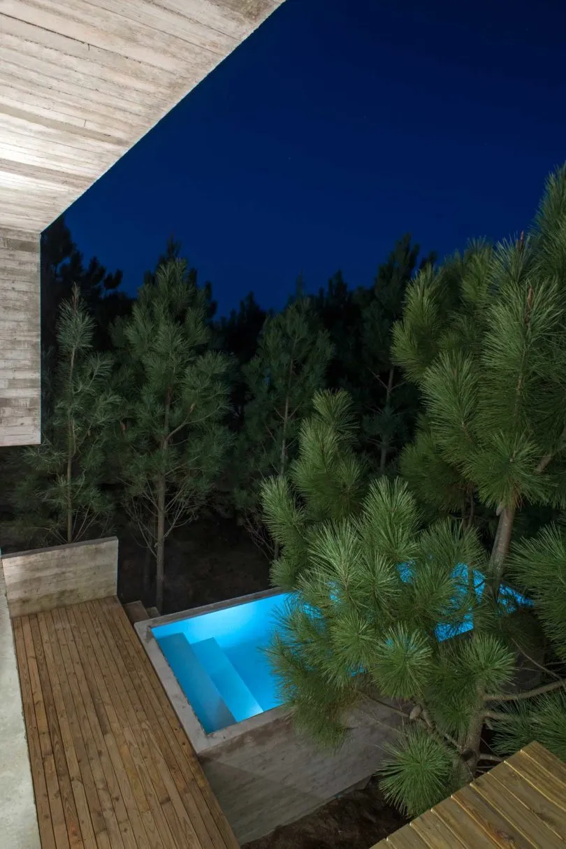 A modern residential garden featuring a concrete pool and wooden deck at night.